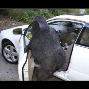 Meet your Posher, Justin